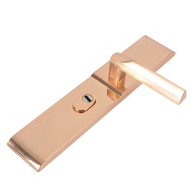 Kirsite Die Casting Precisão Moldagem por Injeção Espelho Polimento Fechadura de Porta Shell Acessórios