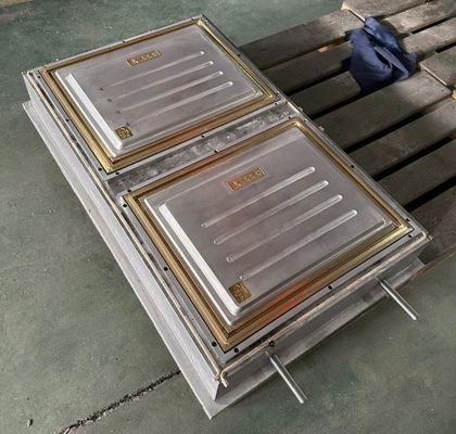 ABS / PA66 / PP / PC / PMMA Moldes de portas de plástico para formação de vácuo